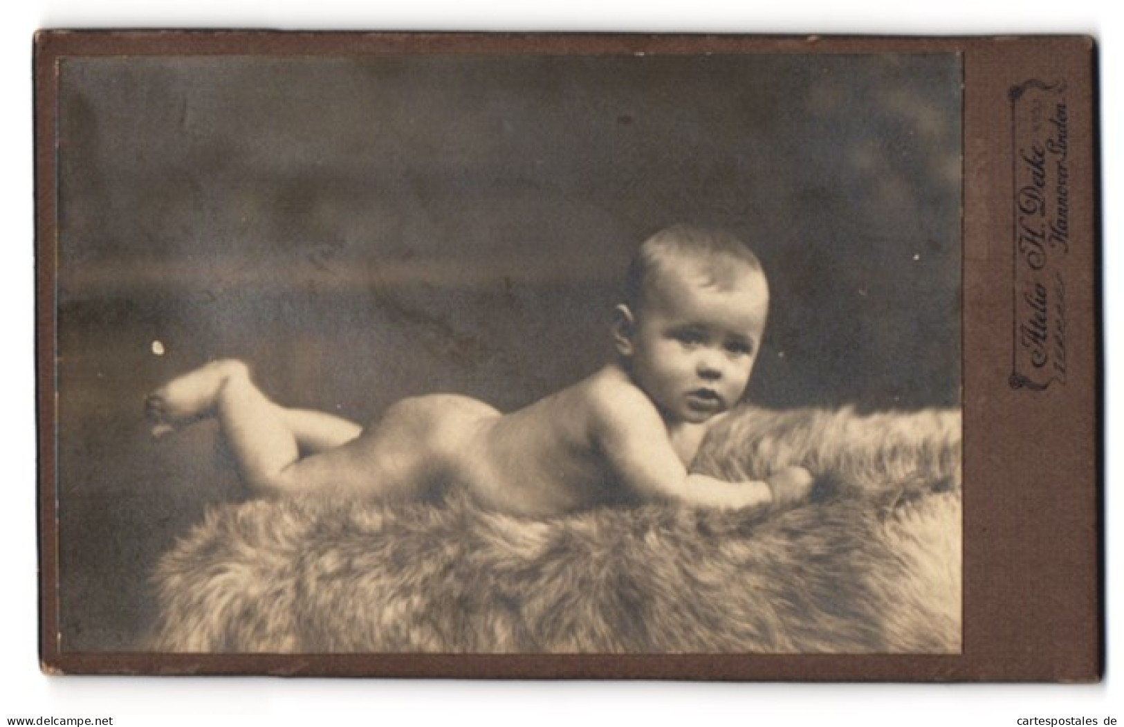 Fotografie H. Deike, Hannover-Linden, Deisterstr. 7, Portrait Baby Liegt Auf Einem Fell  - Personnes Anonymes