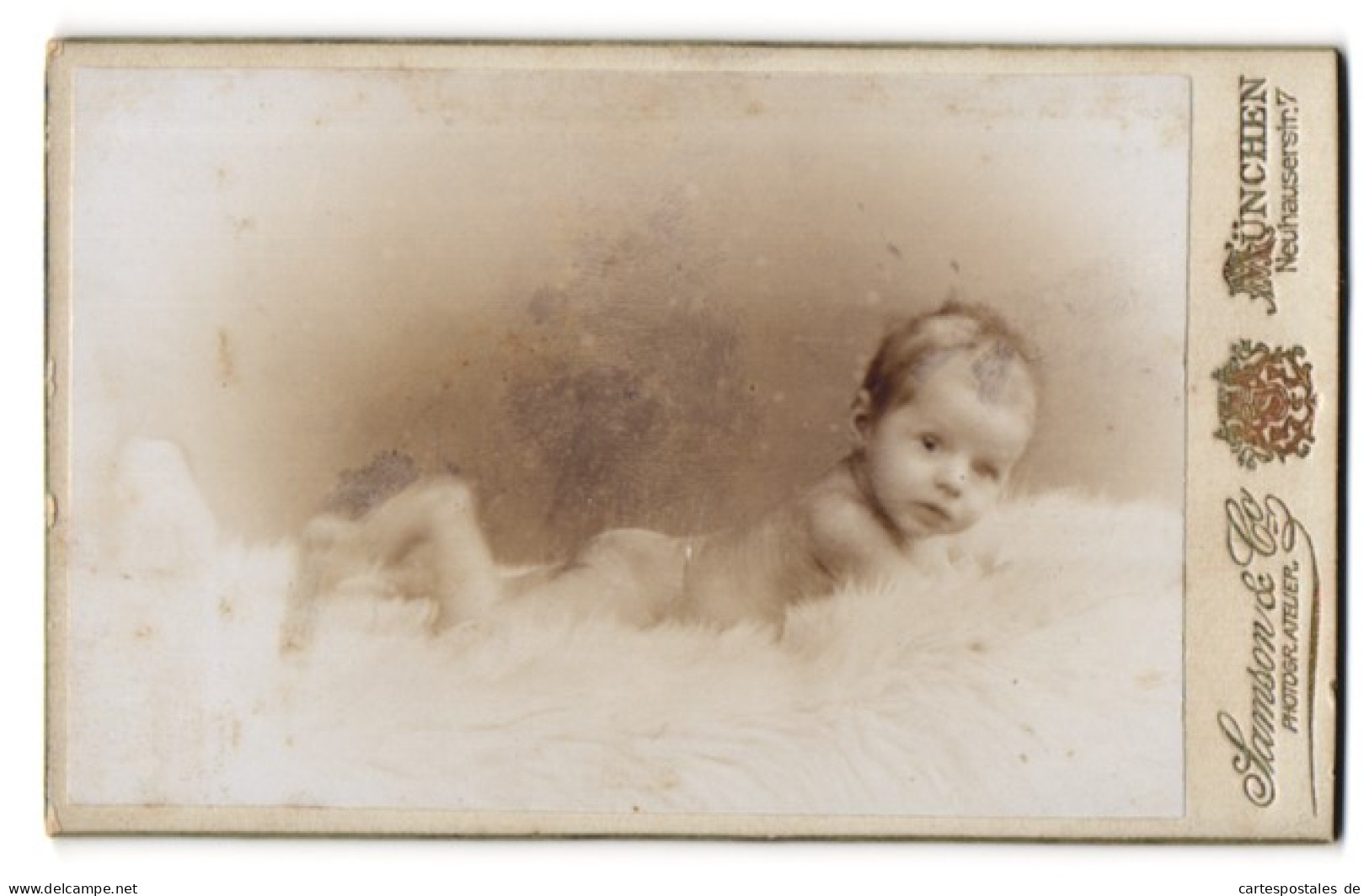 Fotografie Samson & Co., München, Neuhauserstr. 7, Portrait Süsses Baby Auf Einem Fell Liegend  - Personnes Anonymes