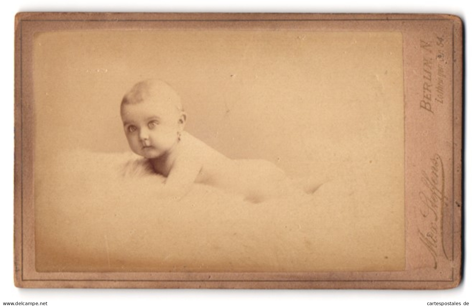Fotografie Max Steffens, Berlin, Lothringer Str. 54, Portrait Süsses Baby Auf Einem Fell Liegend  - Personnes Anonymes