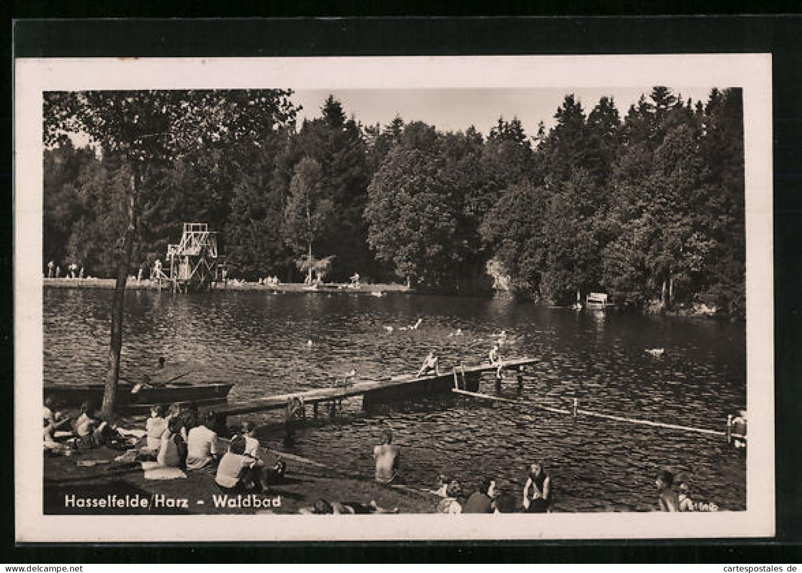 AK Hasselfelde / Harz, Badegäste Im Waldbad  - Otros & Sin Clasificación