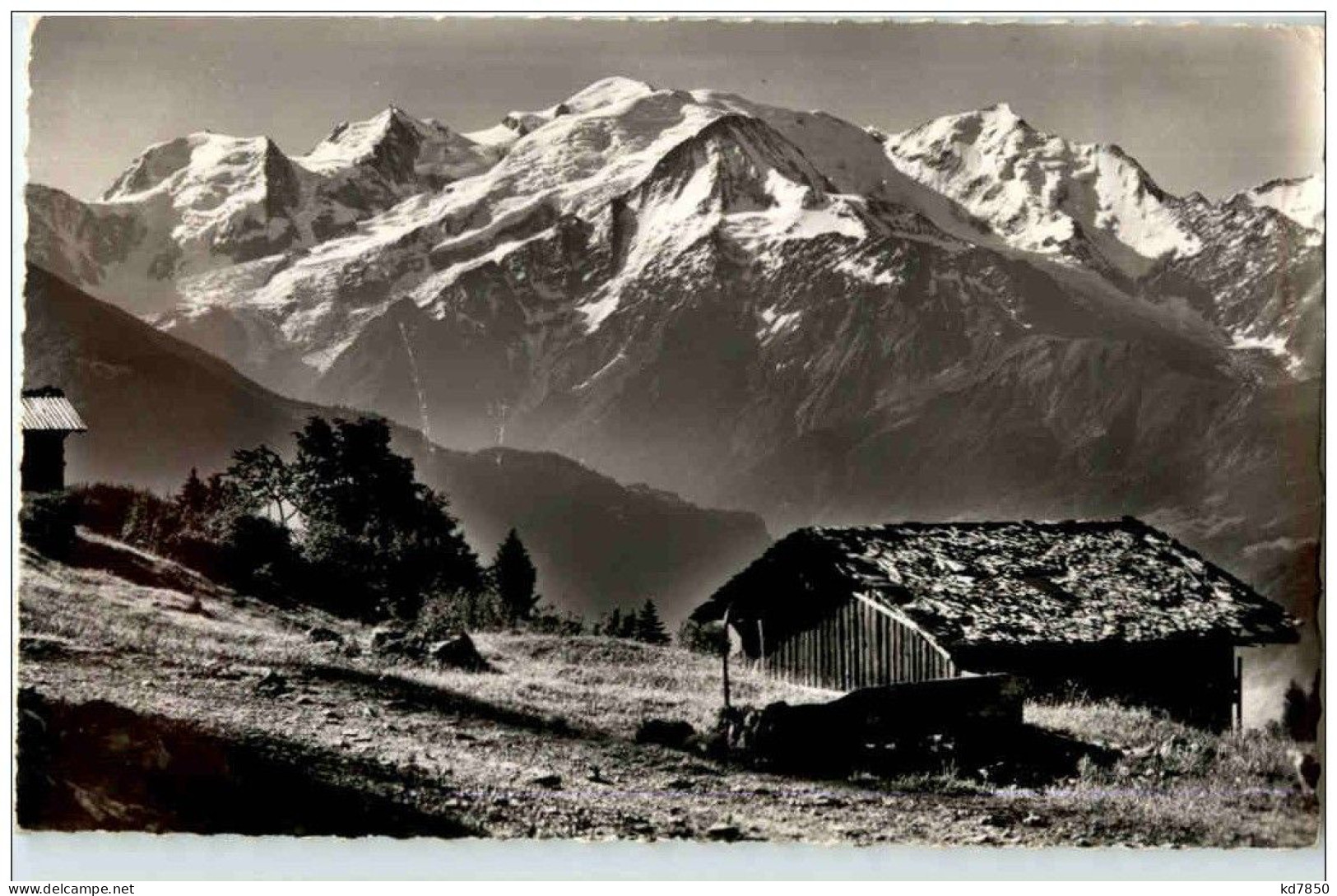 Chamonix - Paturage De Plaine Joux - Chamonix-Mont-Blanc