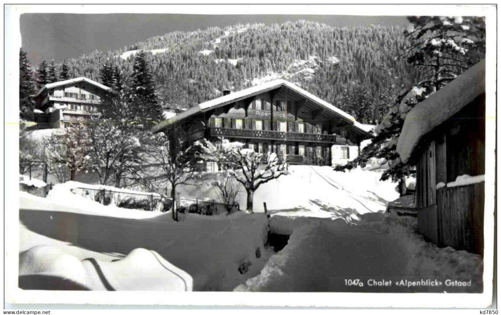 Gstaad - Chalet Alpenblick - Gstaad