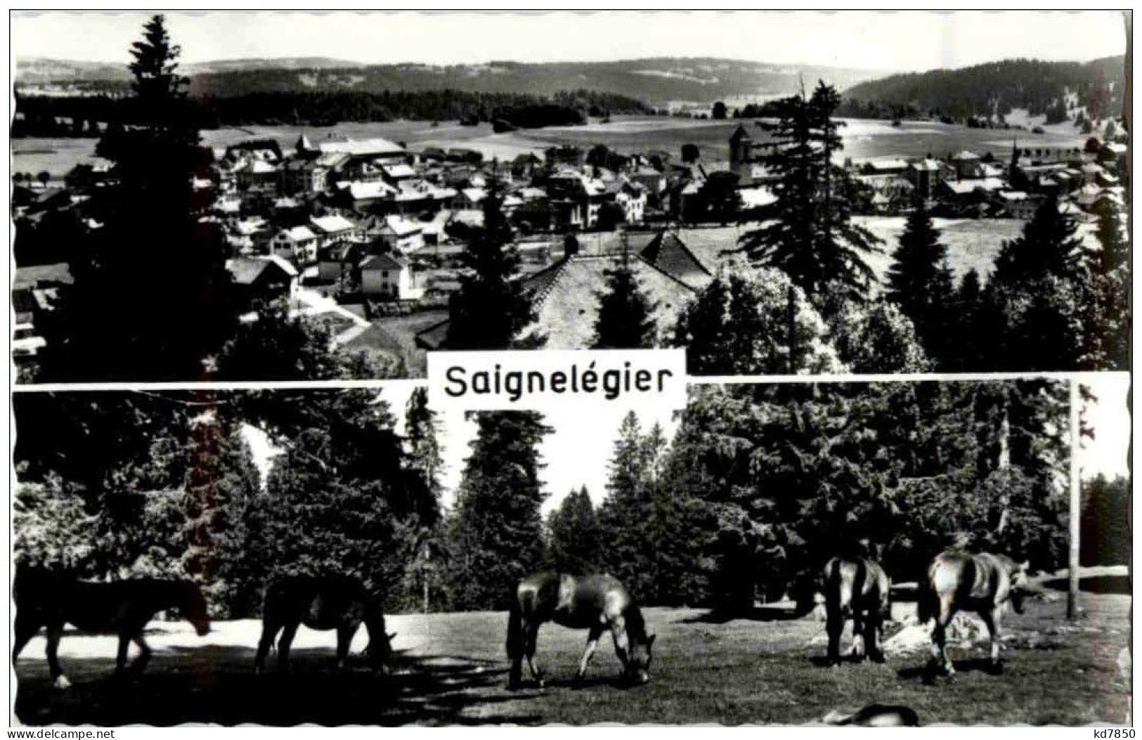 Saignelegier - Saignelégier