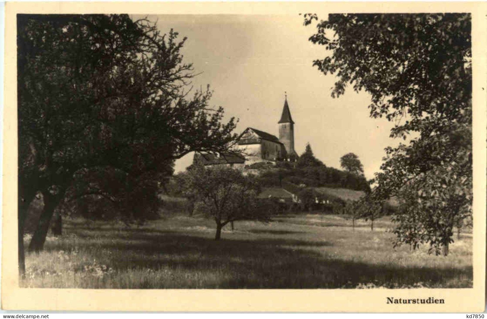 Alte Büdinger Kirche - Sonstige & Ohne Zuordnung