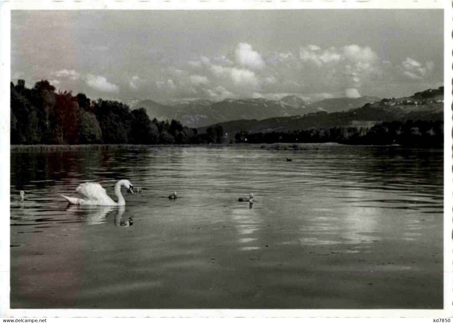 Strandbad Altenrhein Bei Rorschach - Rorschach