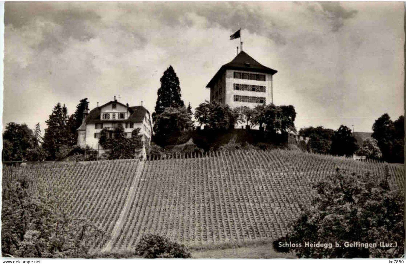 Schloss Heidegg Bei Gelfingen - Other & Unclassified