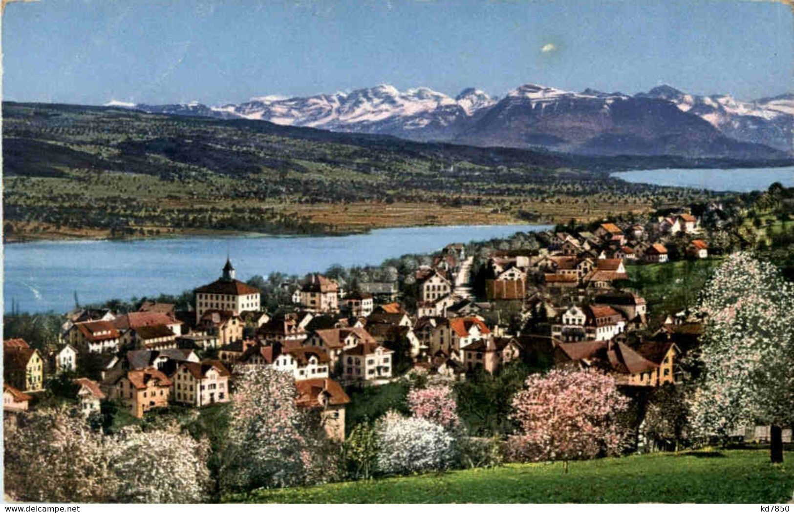 Beinwil Am Hallwilersee - Sonstige & Ohne Zuordnung