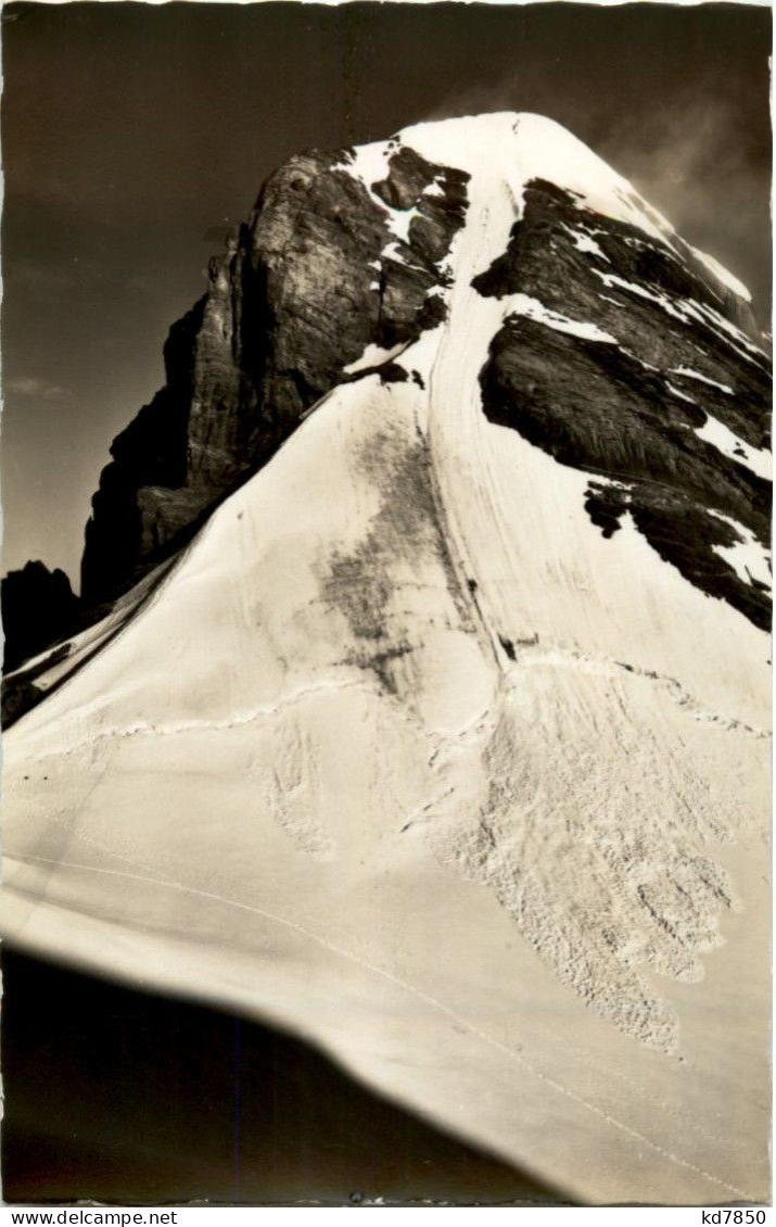 Grindelwald - Wetterhorngipfel - Grindelwald