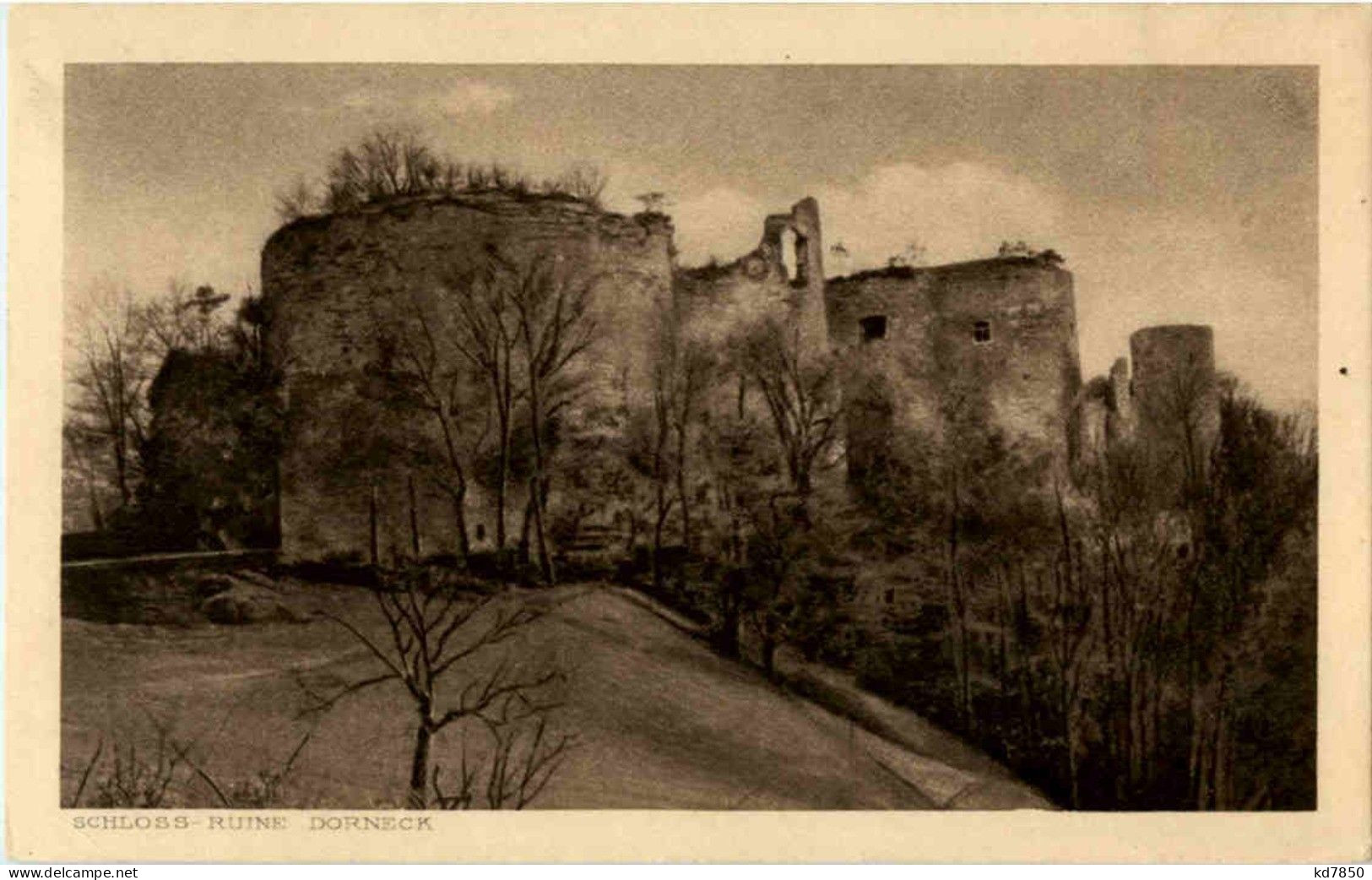 Schloss Ruine Dorneck - Autres & Non Classés