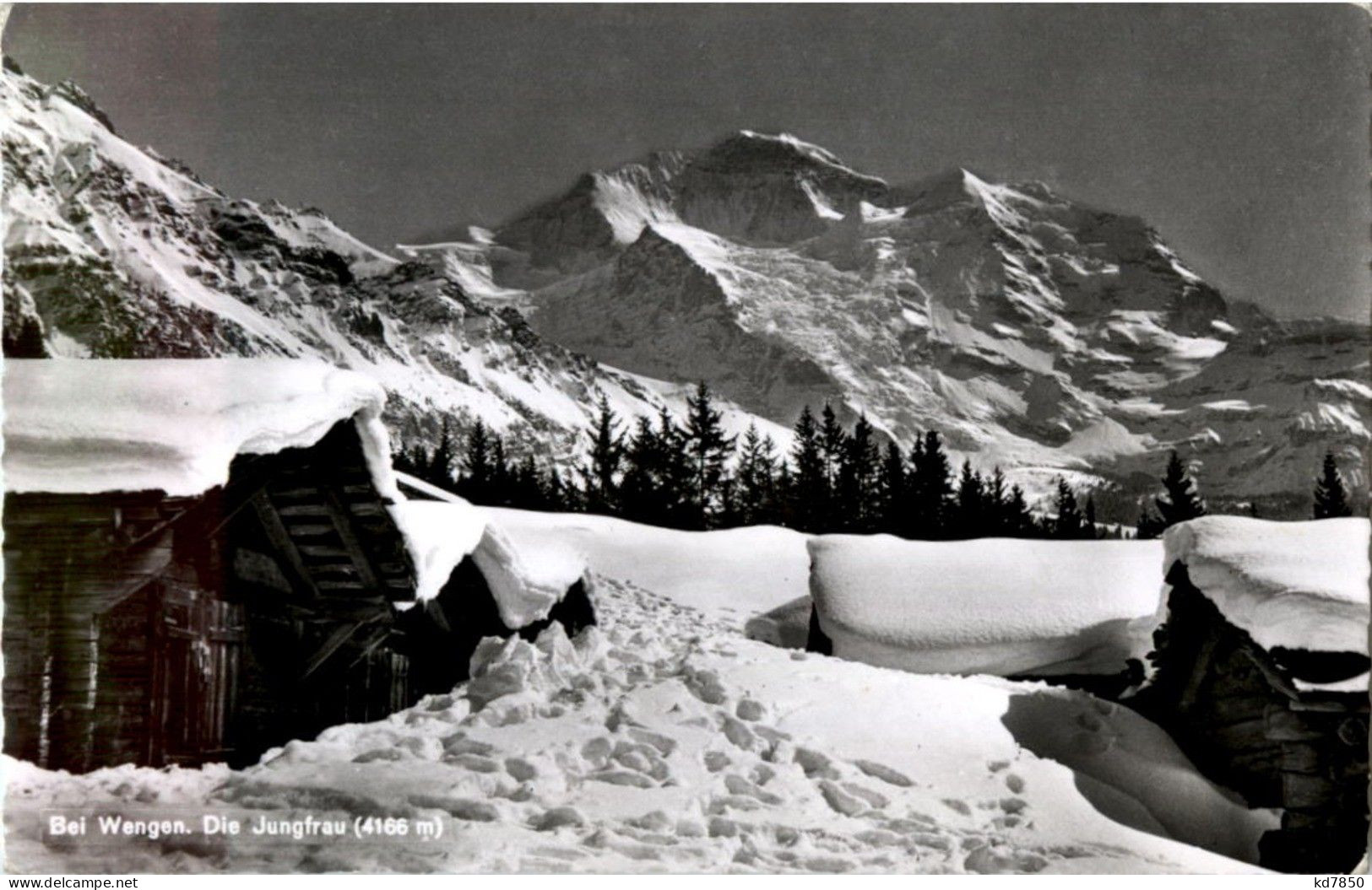 Wengen - Wengen