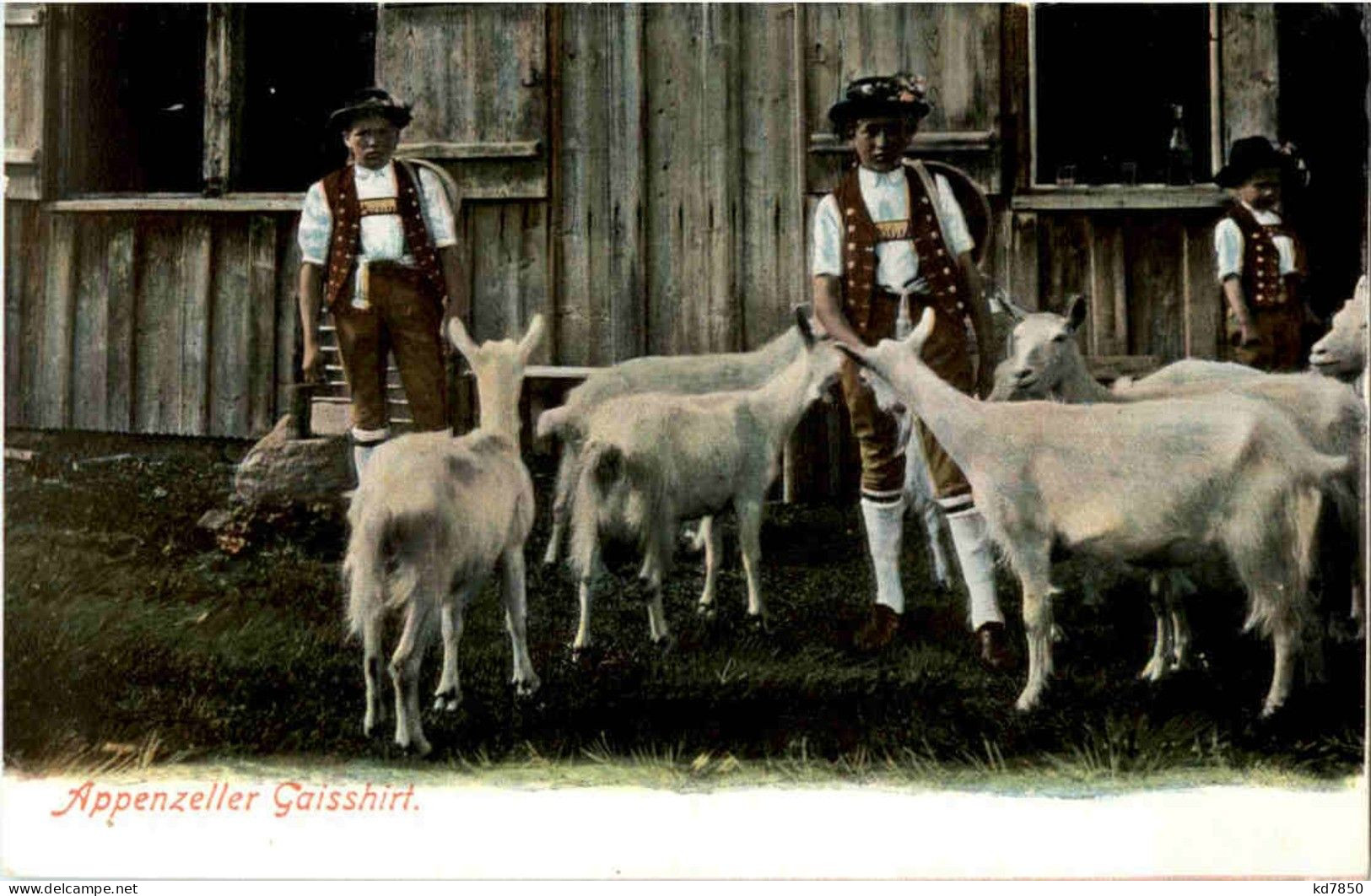 Appenzeller Gaisshirt - Sonderstempel Rückseite- Goat Ziege - Autres & Non Classés