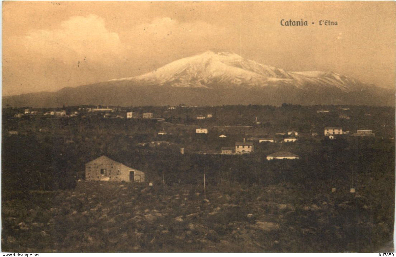 Catania - L Etna - Catania