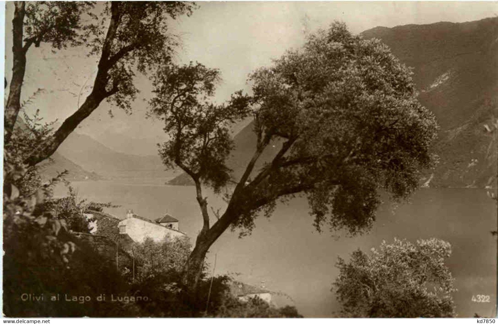 Olivi Al Lago Di Lugano - Lugano