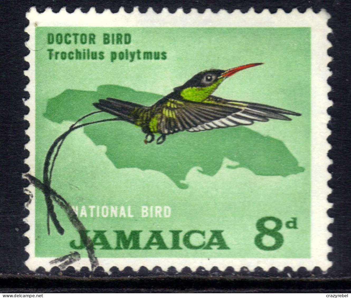 Jamaica 1964 QE2 8d Streamertail Bird Used SG 224 ( G1076 ) - Giamaica (1962-...)