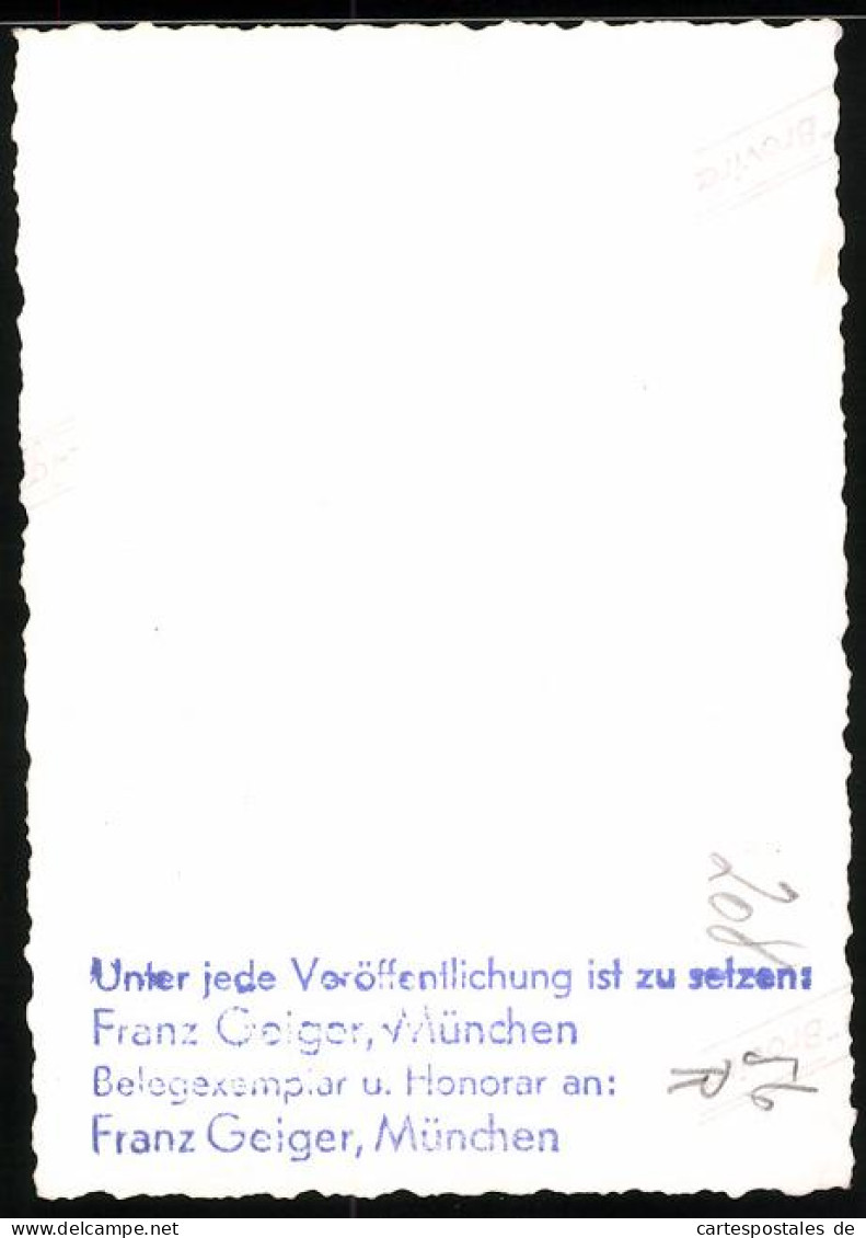 Fotografie Kaninchen-Messe, Juror Bei Der Bewertung Eines Exemplar's  - Autres & Non Classés