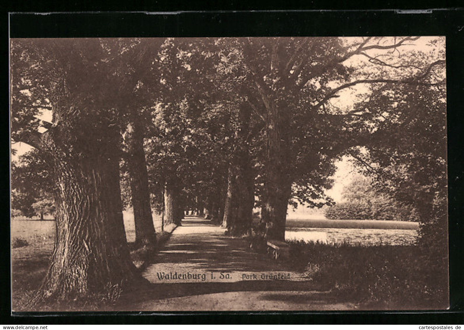 AK Waldenburg I. Sa., Park Grünfeld  - Waldenburg (Sachsen)