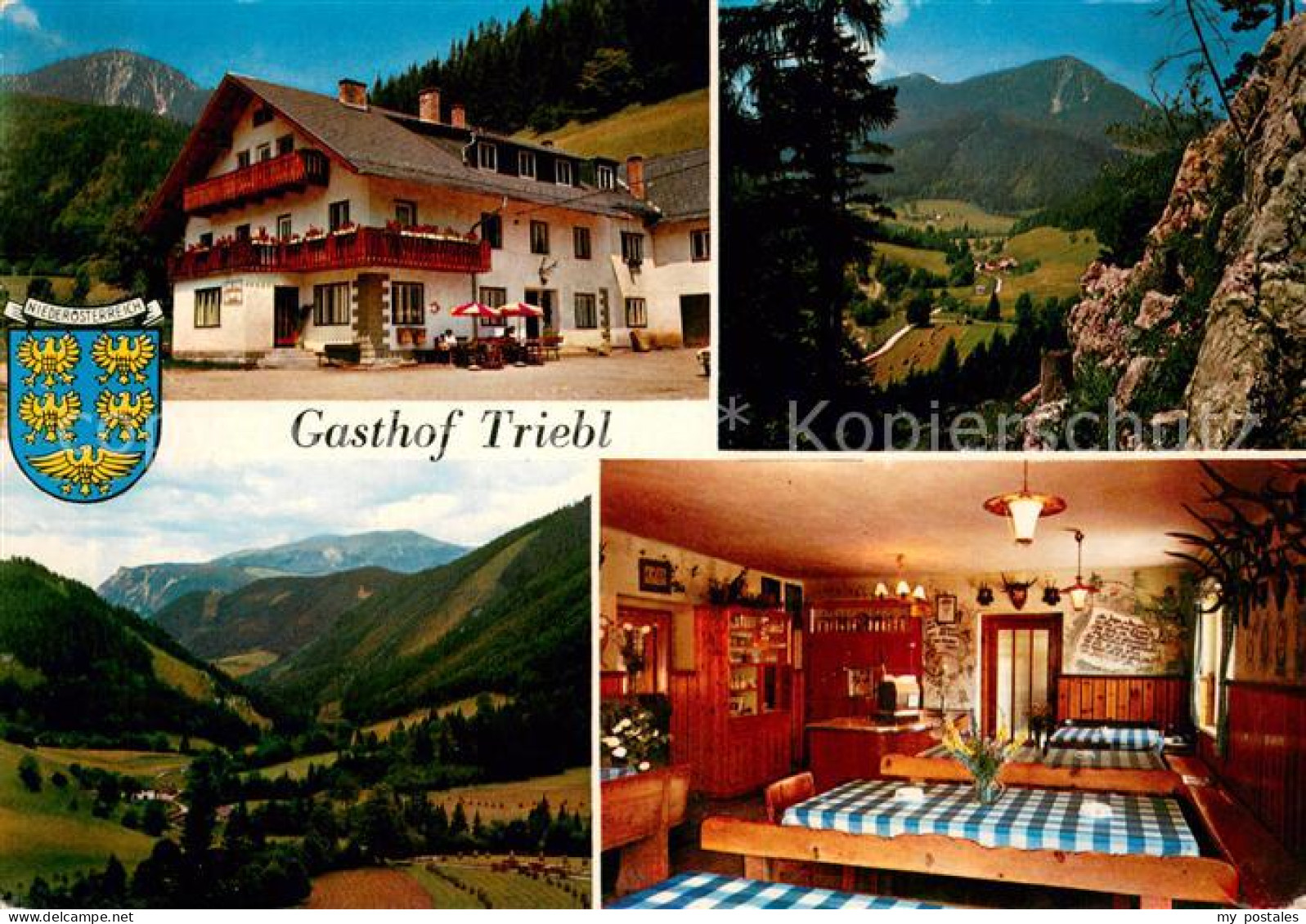 73663425 Schwarzau Gebirge Gasthof Triebl Schwarzau Gebirge - Altri & Non Classificati