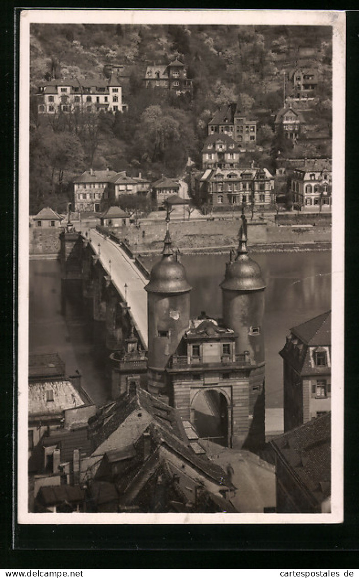 AK Heidelberg, Alte Brücke Und Ziegelhäuser Landstrasse  - Heidelberg