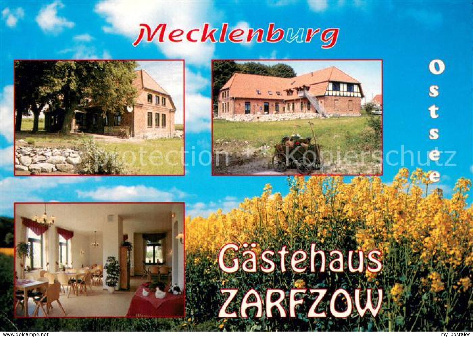 73661804 Zarfzow Gaestehaus Zarfzow Gaesteraum Rapsfeld  - Autres & Non Classés