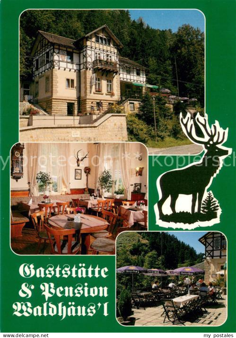 73661017 Bad Schandau Gaststaette Pension Waldhaeus L Restaurant Terrasse Hirsch - Bad Schandau