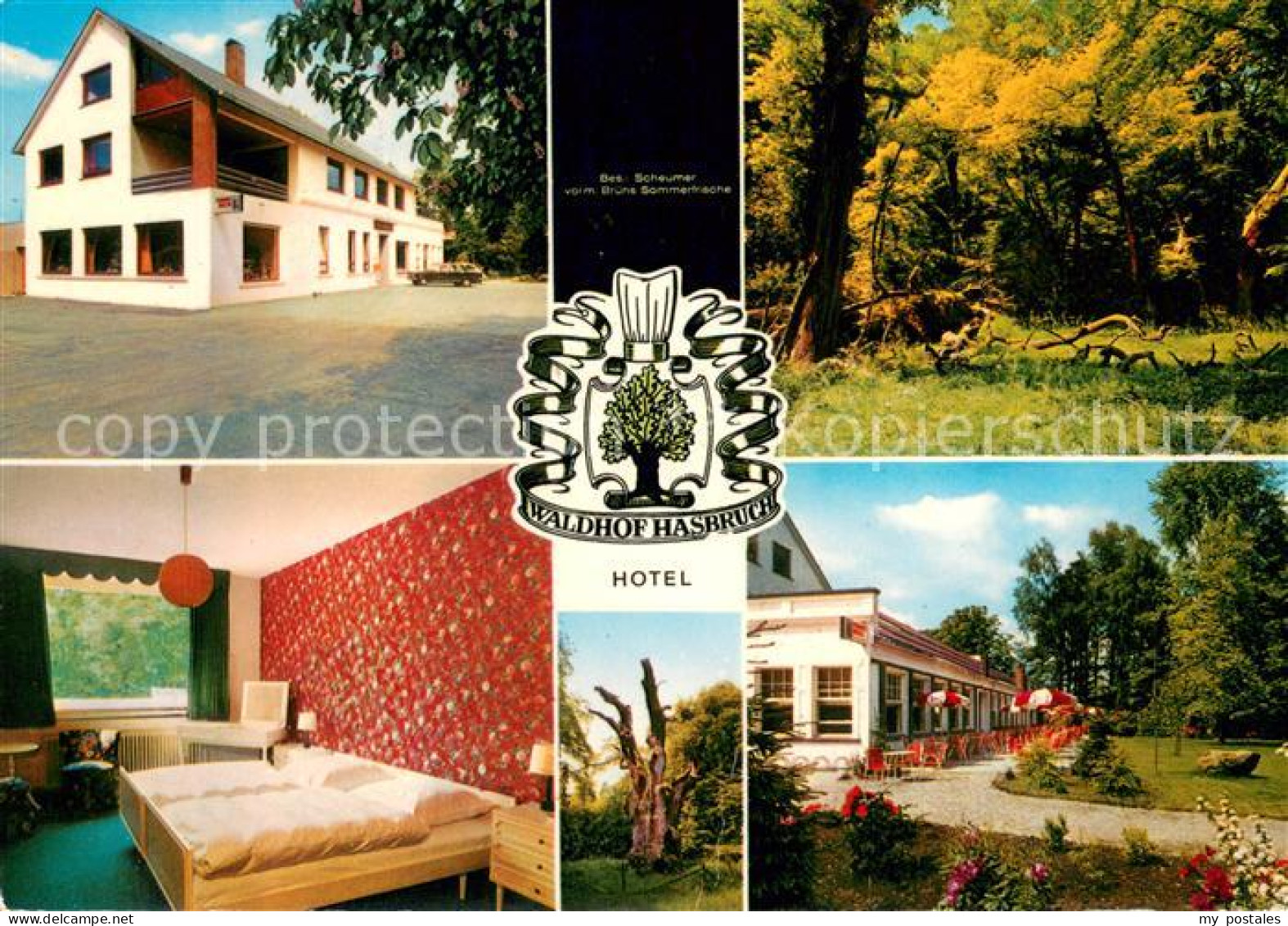 73660968 Bookholzberg Hotel Waldhof Hasbruch Terrasse Fremdenzimmer Waldpartie B - Ganderkesee