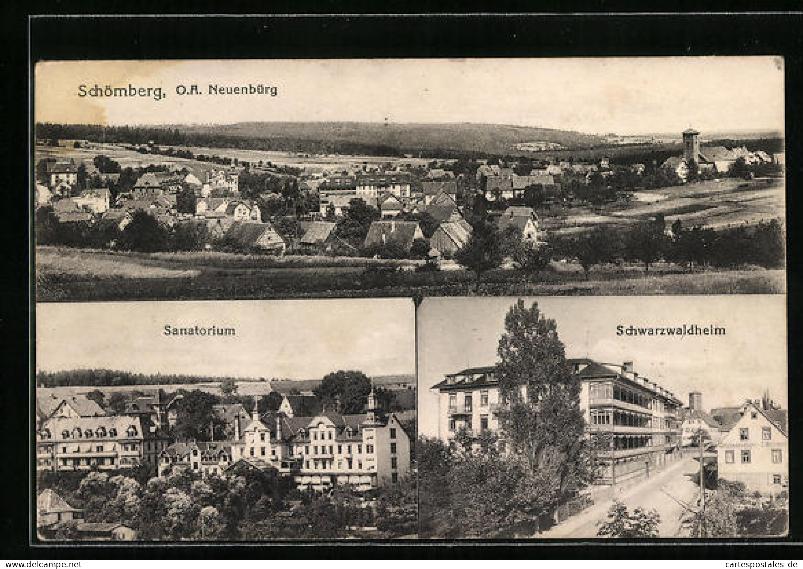 AK Schömberg, Neuenbürg, Sanatorium Und Schwarzwaldheim  - Schömberg