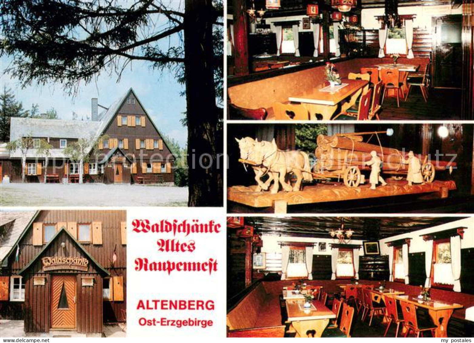 73660950 Altenberg Erzgebirge Waldschaenke Altes Raupennest Altenberg Erzgebirge - Geising
