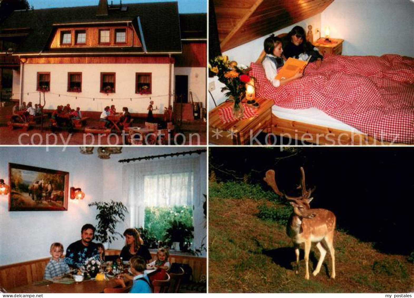 73660945 Sachsengrund Gasthaus Pension Widmannsheil Fremdenzimmer Hirsch Wildgeh - Andere & Zonder Classificatie