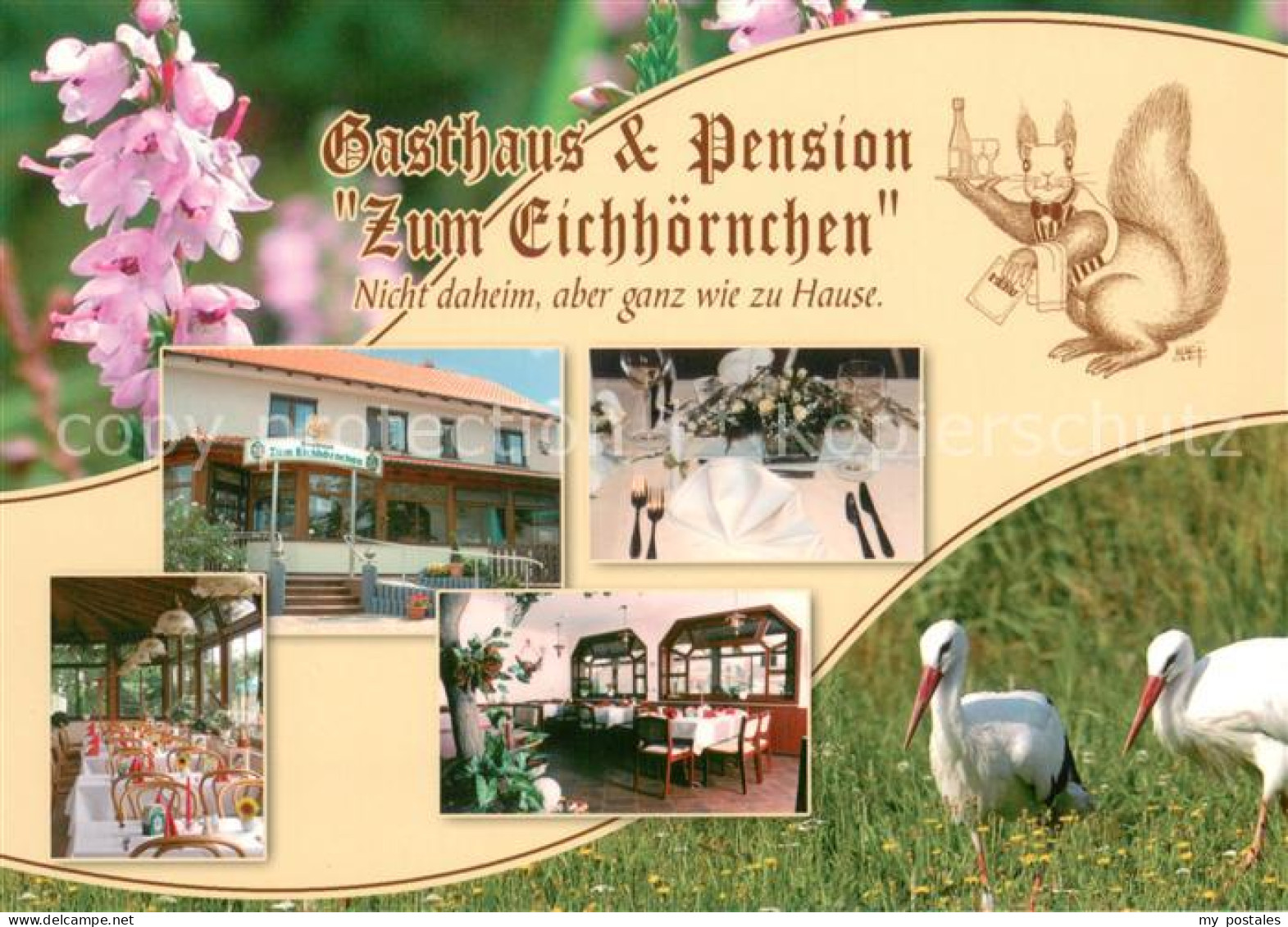 73660943 Reichenhain Gasthaus Pension Zum Eichhoernchen Restaurant Stoerche Reic - Prösen