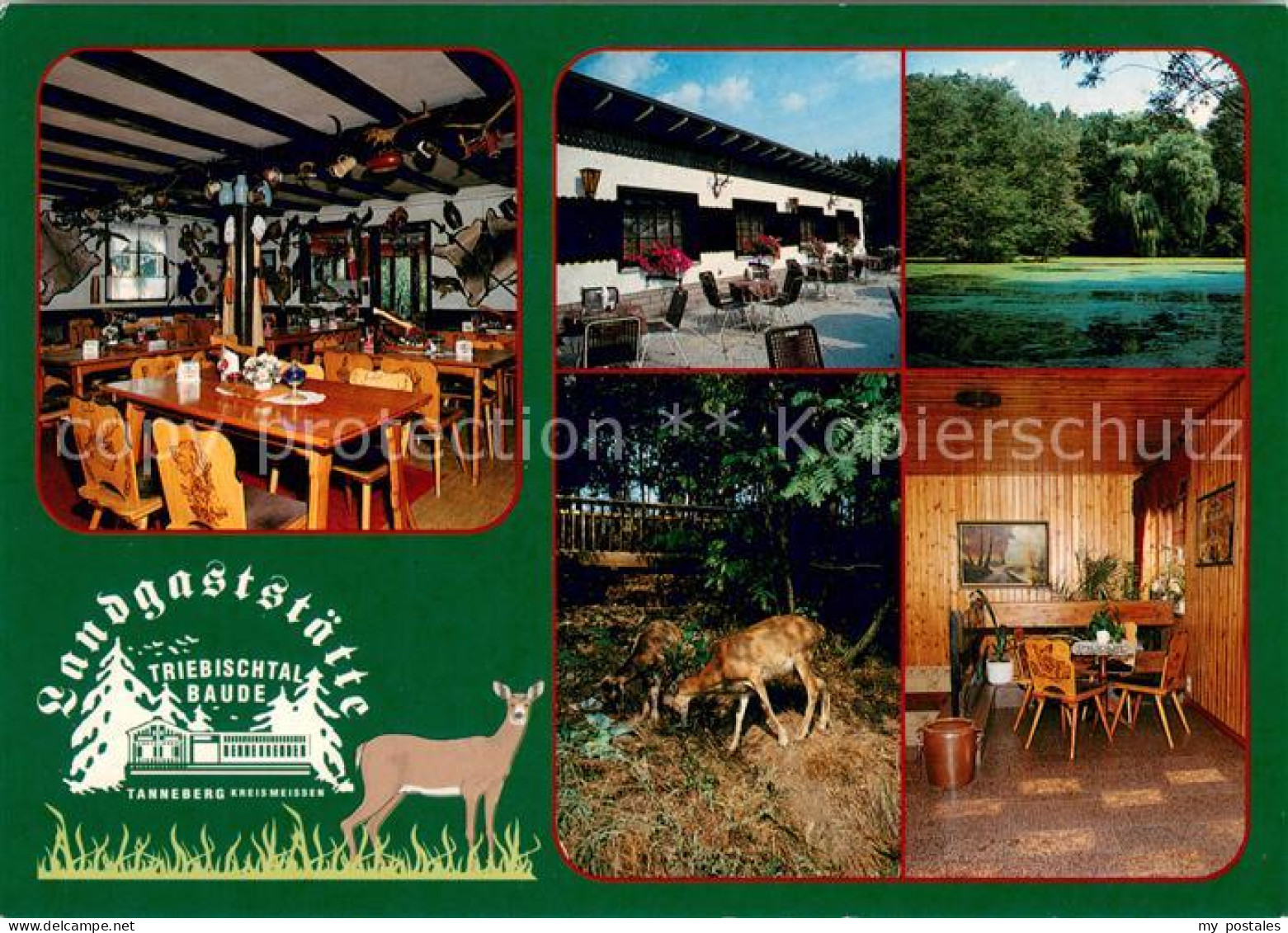 73660599 Tanneberg Triebischtal Landgaststaette Triebischtalbaude Restaurant Wil - Andere & Zonder Classificatie