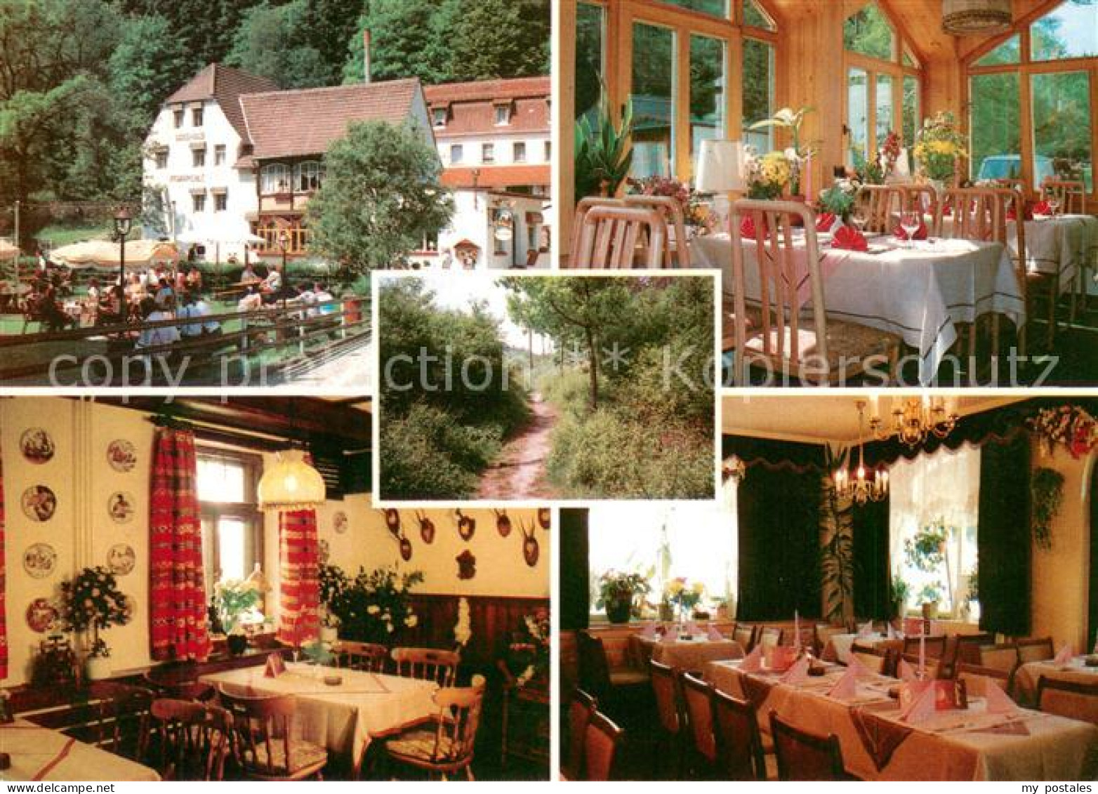 73660417 Eisenberg Thueringen Cafe Restaurant Waldhotel Pfarrmuehle Waldpartie E - Eisenberg