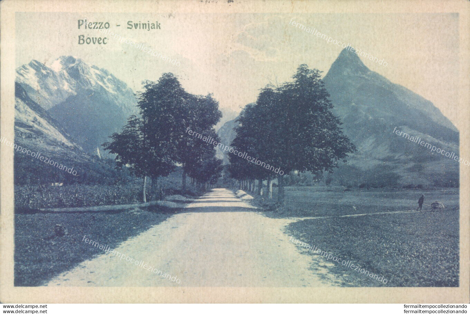 Ag228 Cartolina Plezzo Bovec 1924 Slovenia - Otros & Sin Clasificación