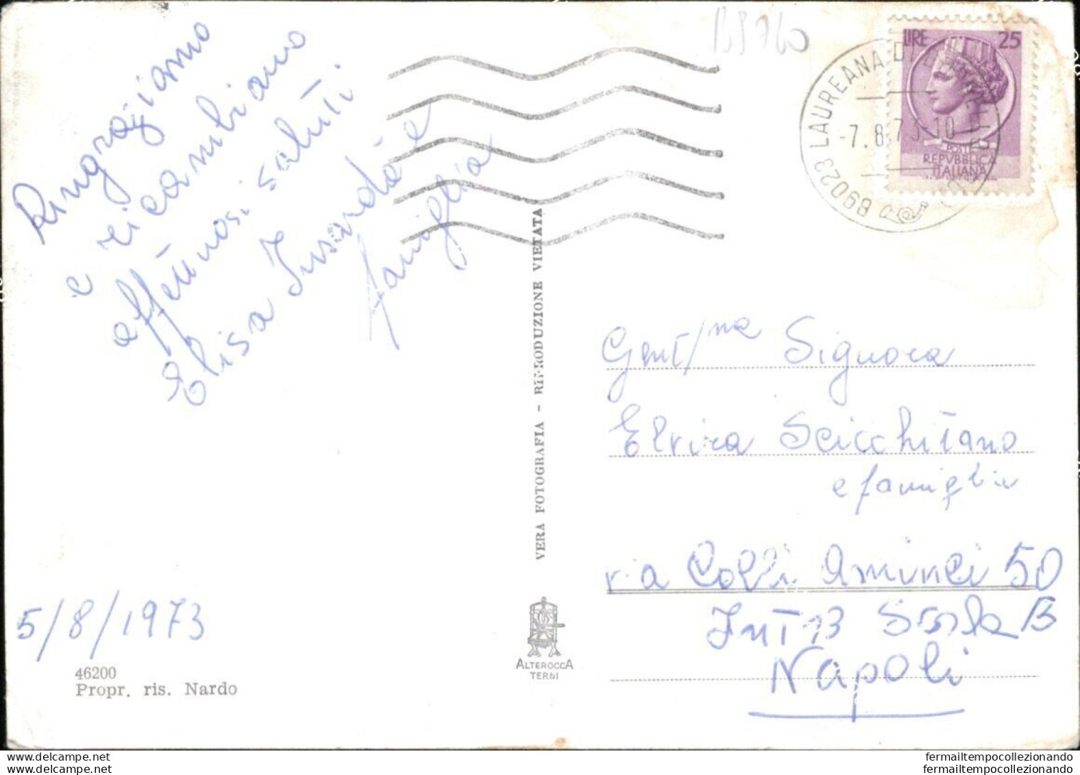 Bs760 Cartolina Laureana Di Borrello Viale Margherita Provincia Reggio Calabria - Reggio Calabria