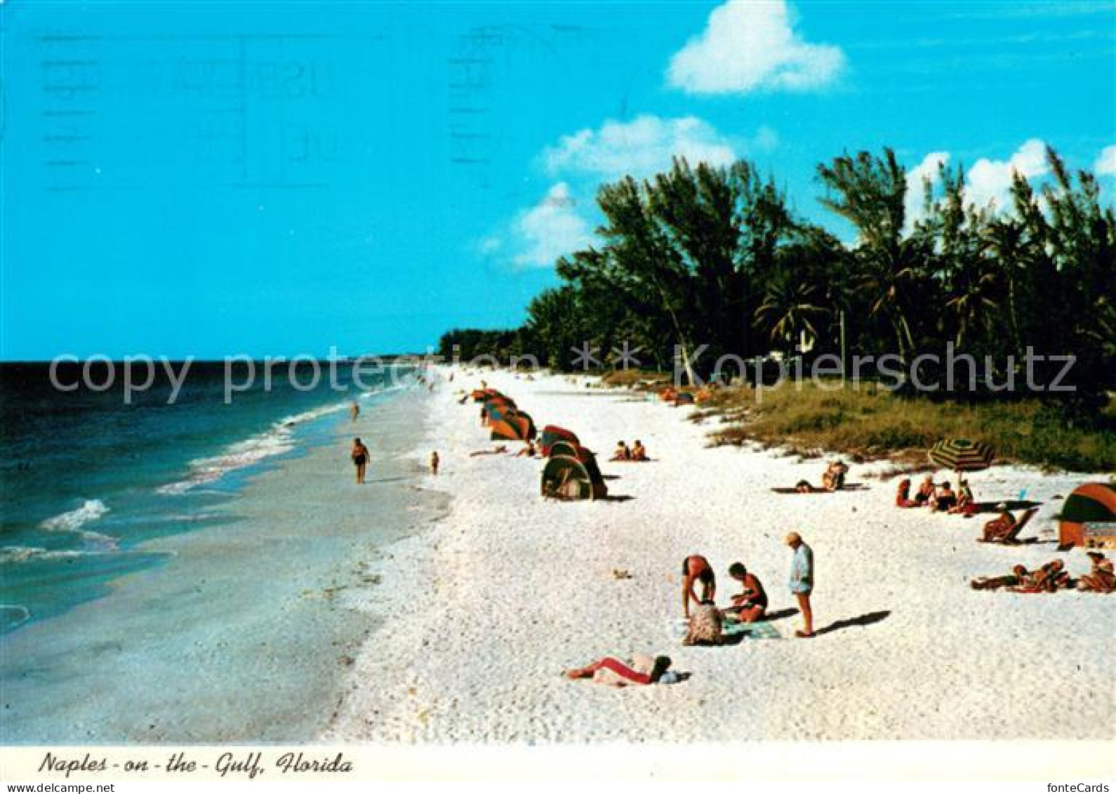 73778877 Naples_Florida On The Gulf - Sonstige & Ohne Zuordnung