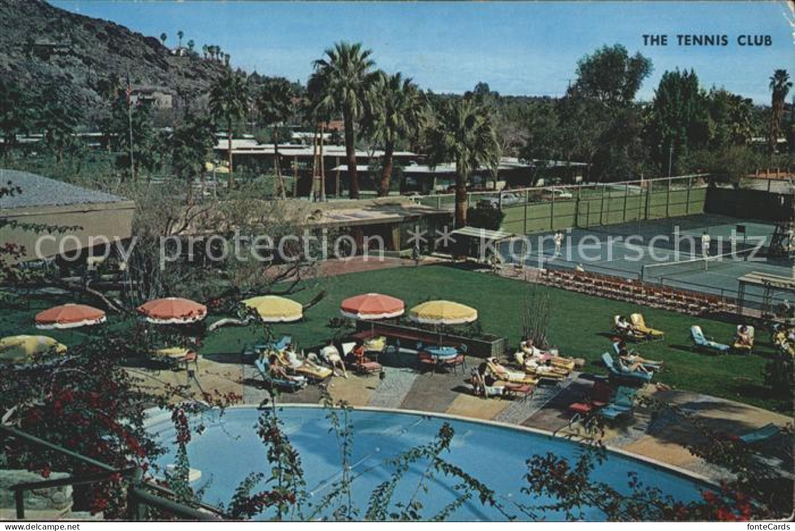 72124580 Palm_Springs The Tennis Club Swimmingpool - Otros & Sin Clasificación