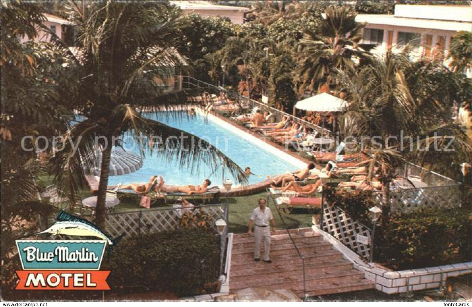 72124496 Key_West Blue Marlin Motel Swimmingpool - Andere & Zonder Classificatie