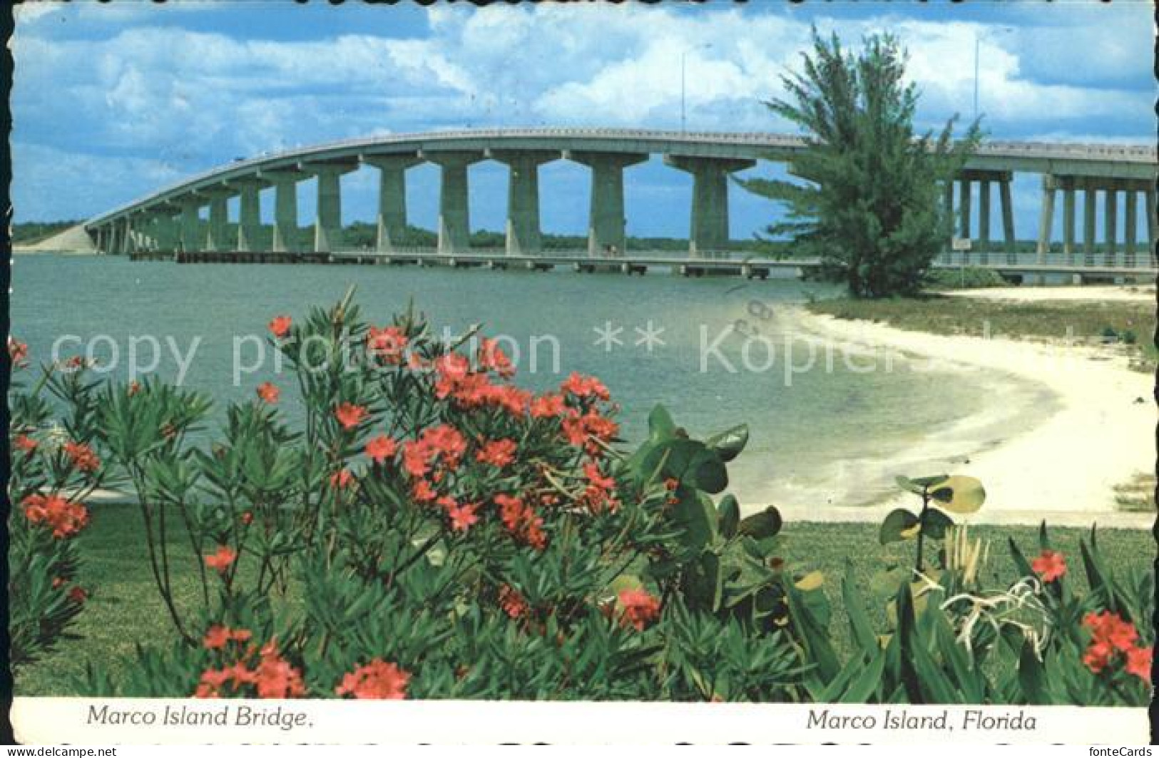 72123569 Marco_Island Bridge - Autres & Non Classés