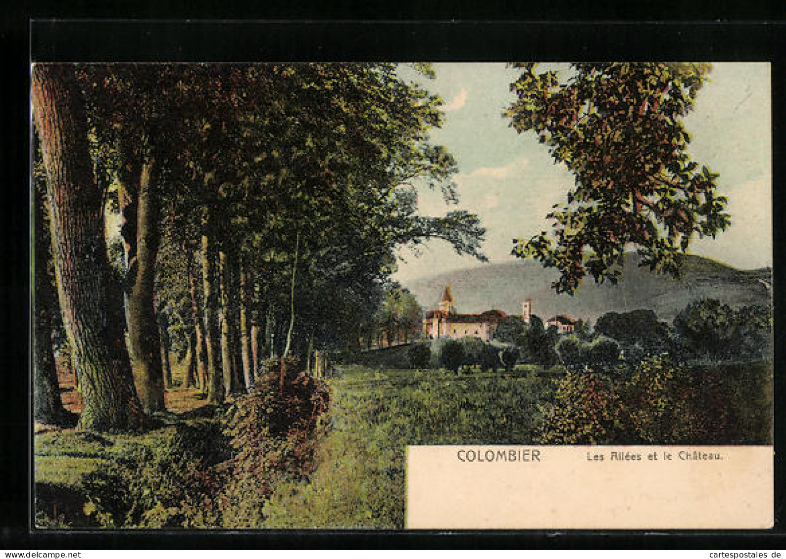 AK Colombier, Schloss, Aus Der Ferne Gesehen  - Colombier