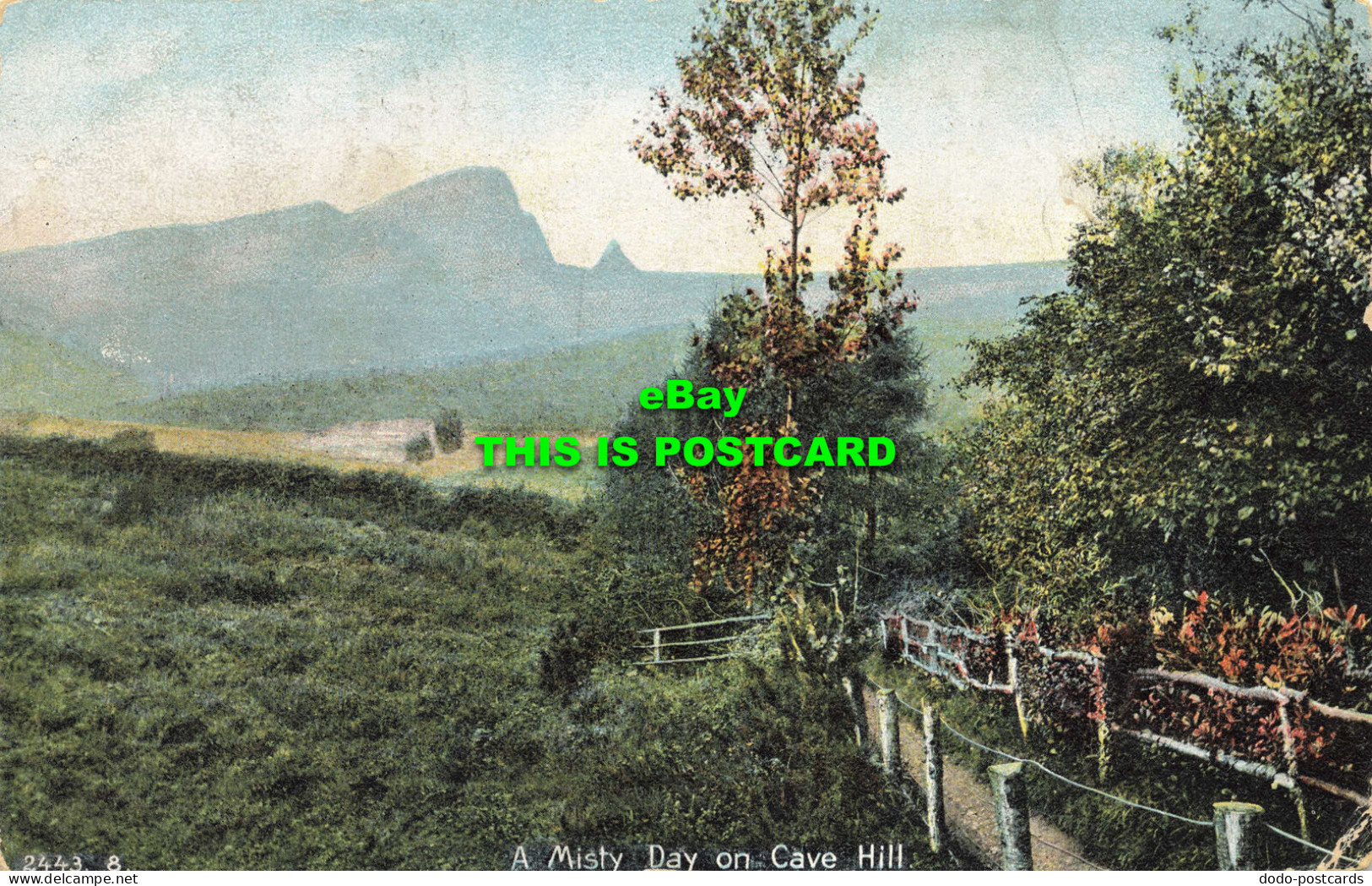 R567437 2443. 8. A Misty Day On Cave Hill. Hartmann. 1904 - Monde