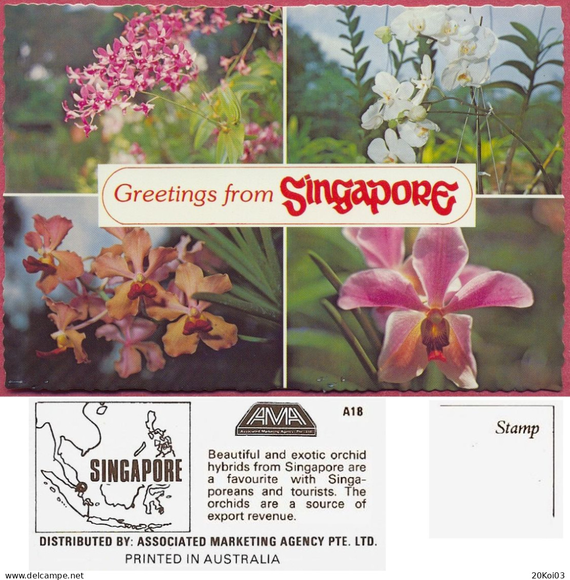 Singapore Greetings From, Orchid Hybrids +/-1975's A18 AMA , Vintage UNC_cpc - Singapur