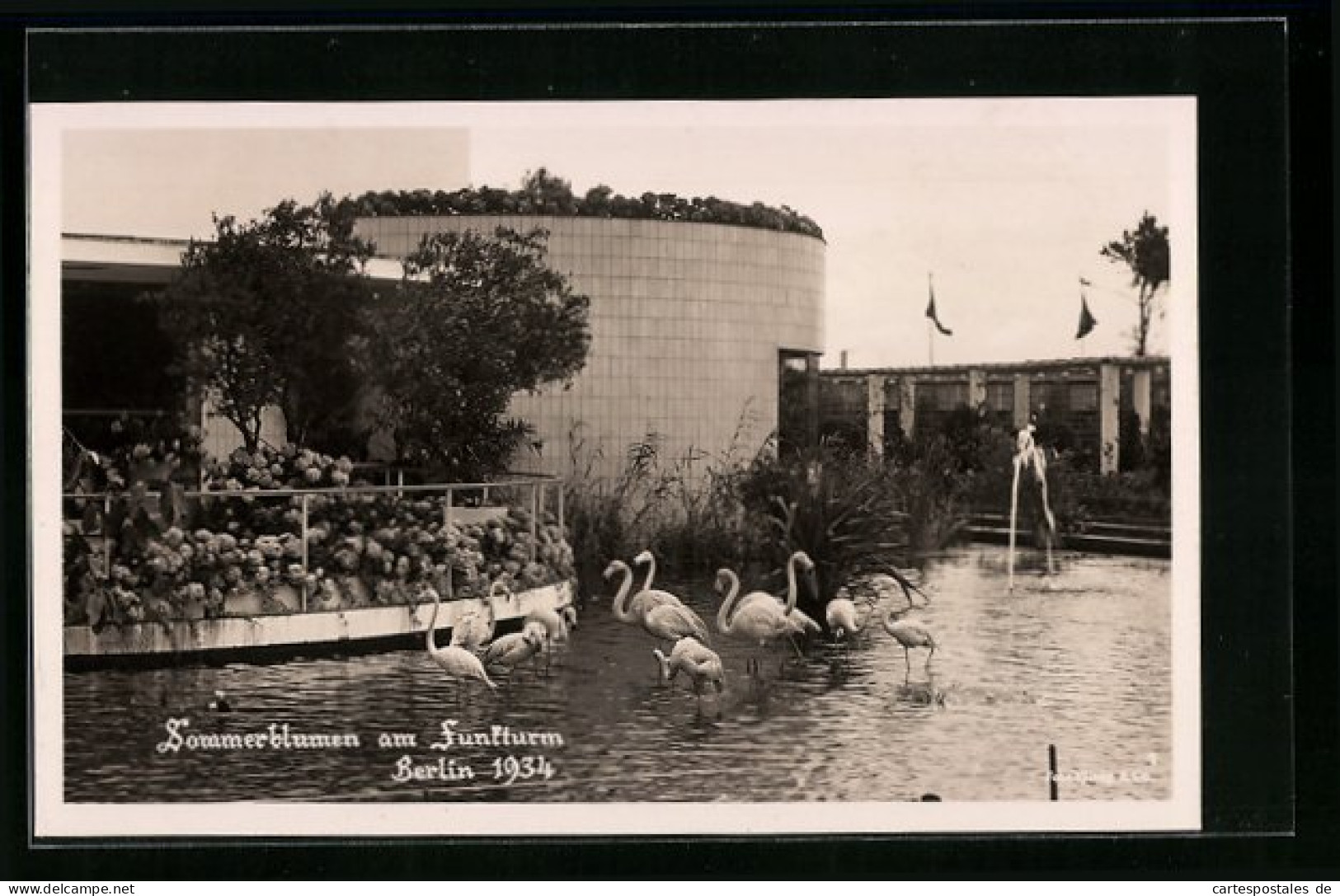 AK Berlin, Ausstellung Sommerblumen Am Funkturm 1934, Gebäude Und Flamingos  - Expositions