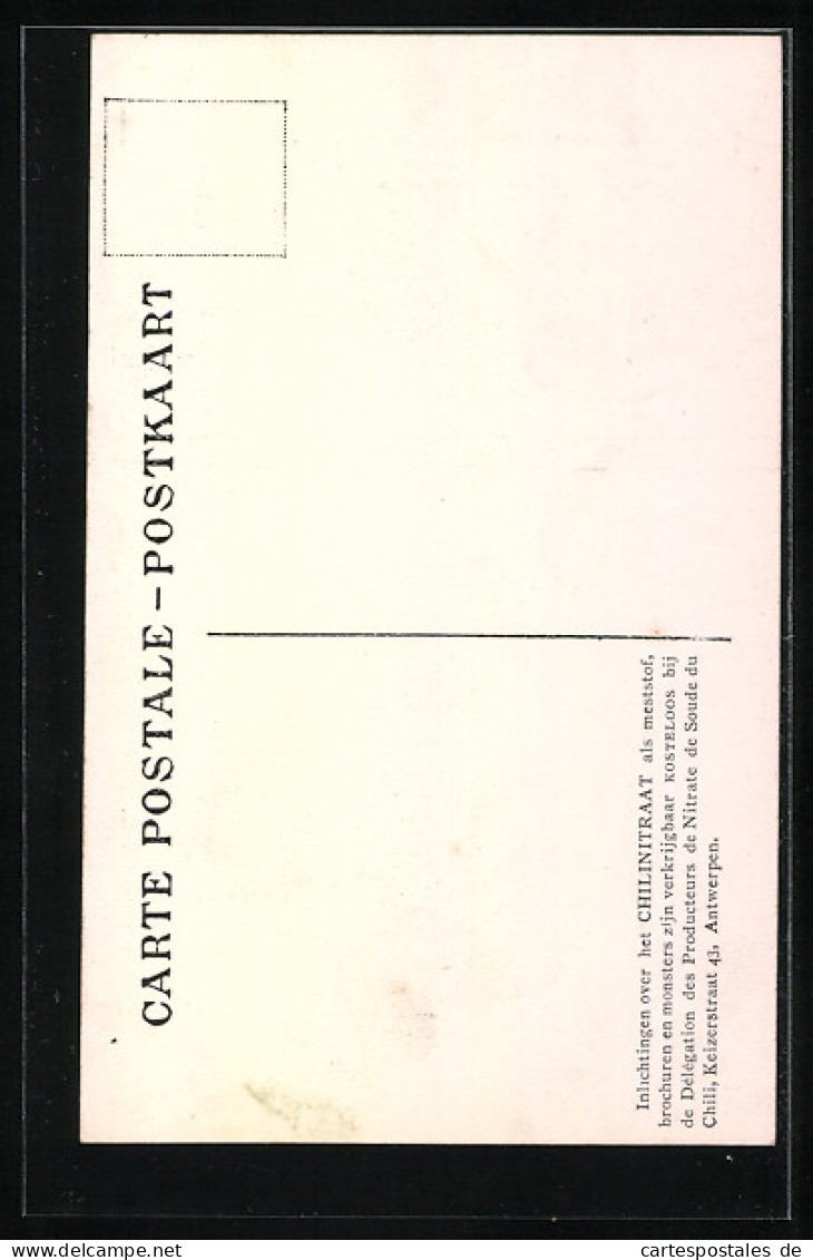 AK Gent, Tentoonstellingspark 1913  - Expositions