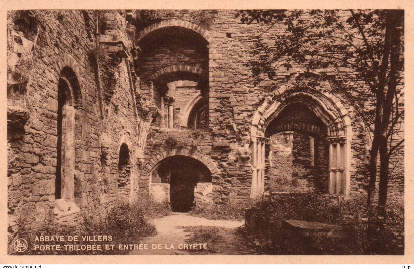 Abbaye De Villers - Porte Trilobée Et Entrée De La Crypte - Villers-la-Ville