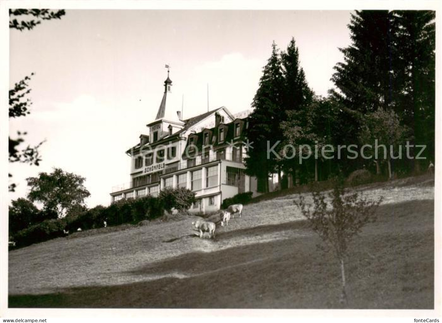 13852075 Feusisberg SZ Hotel Schoenfels  - Sonstige & Ohne Zuordnung