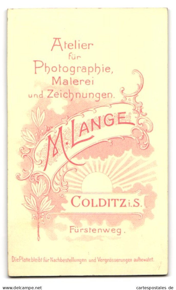Fotografie M. Lange, Colditz I. S., Fürstenweg, Zwei Damen In Modischer Kleidung  - Persone Anonimi