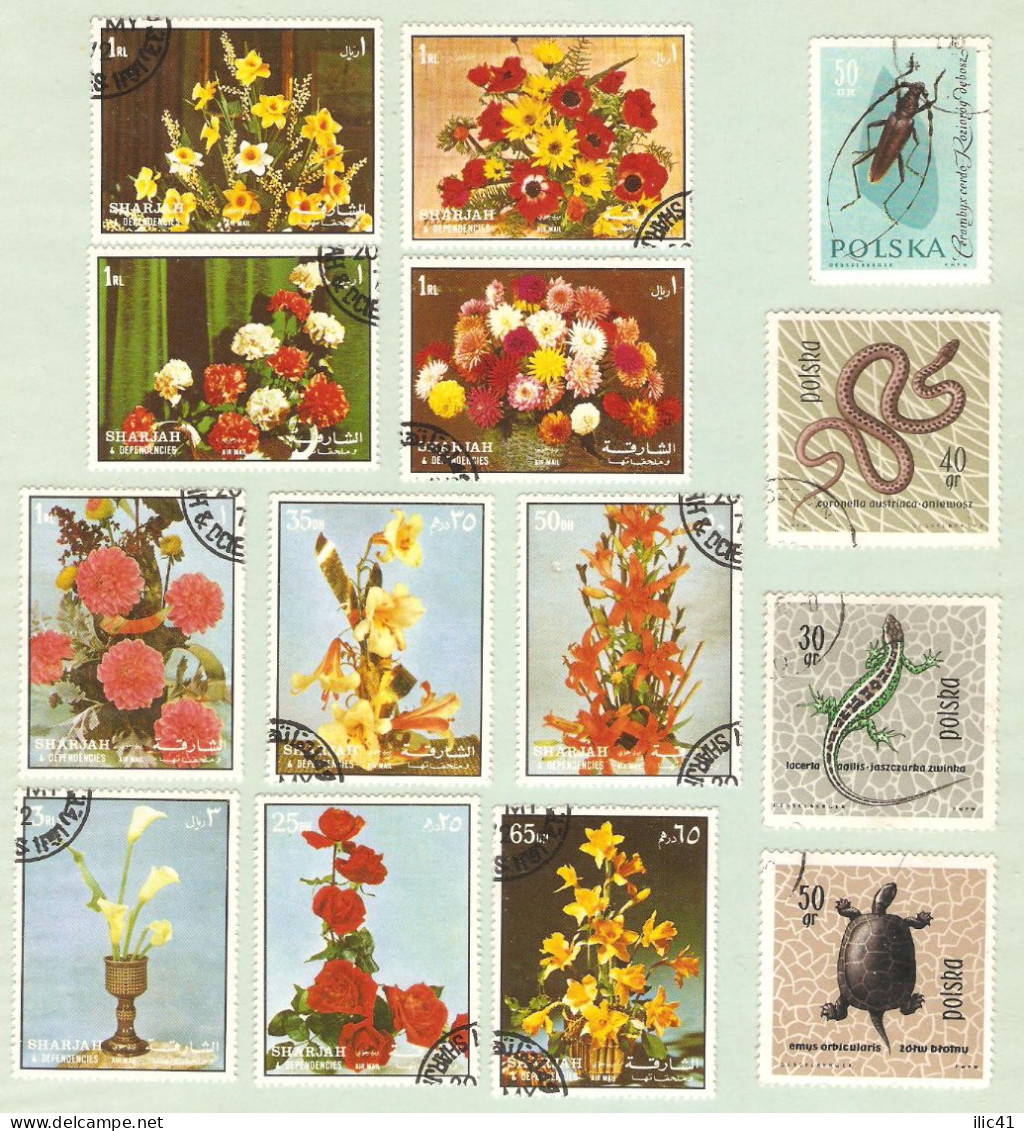 Moldova Moldova Transnistria Stamps, Flora. Fauna. - Moldawien (Moldau)