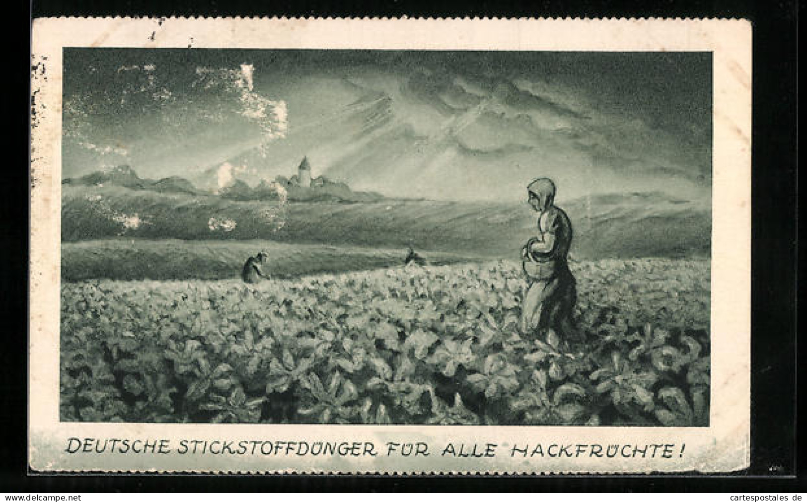 AK Reklame Für Deutsche Stickstoffdünger Für Alle Hackfrüchte  - Werbepostkarten