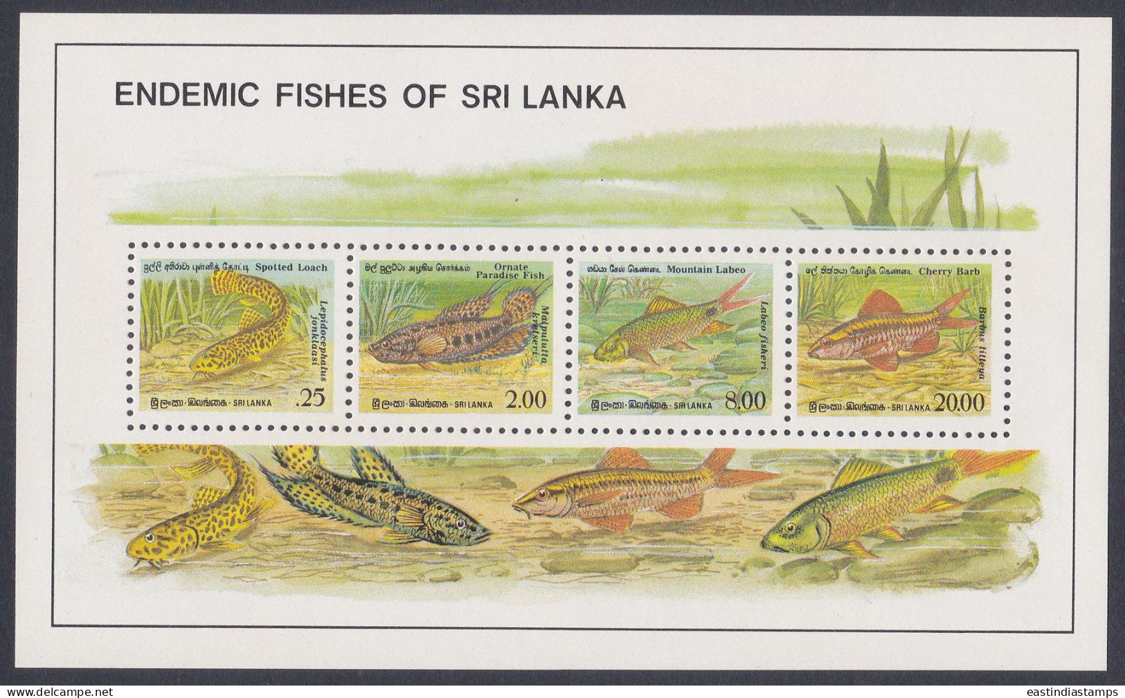 Sri Lanka Ceylon 1990 MNH MS Endemic Fishes, Fish, Barb, Labeo, Loach, Paradise Fish, Marine Life, Miniature Sheet - Sri Lanka (Ceilán) (1948-...)