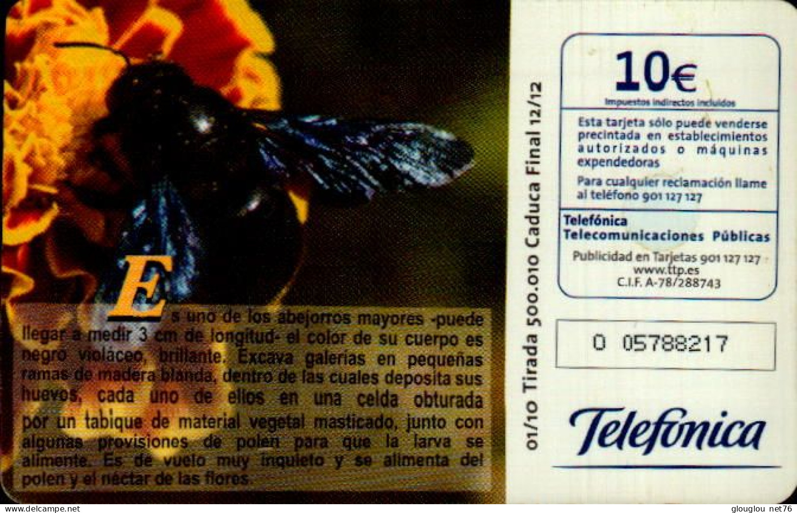 TELECARTE ETRANGERE....ABEILLE - Api