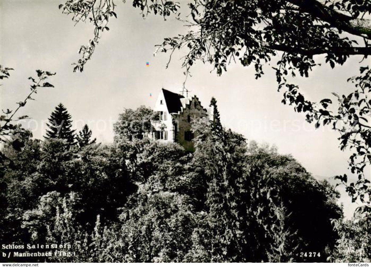 13811305 Mannenbach-Salenstein TG Schloss Salenstein  - Other & Unclassified